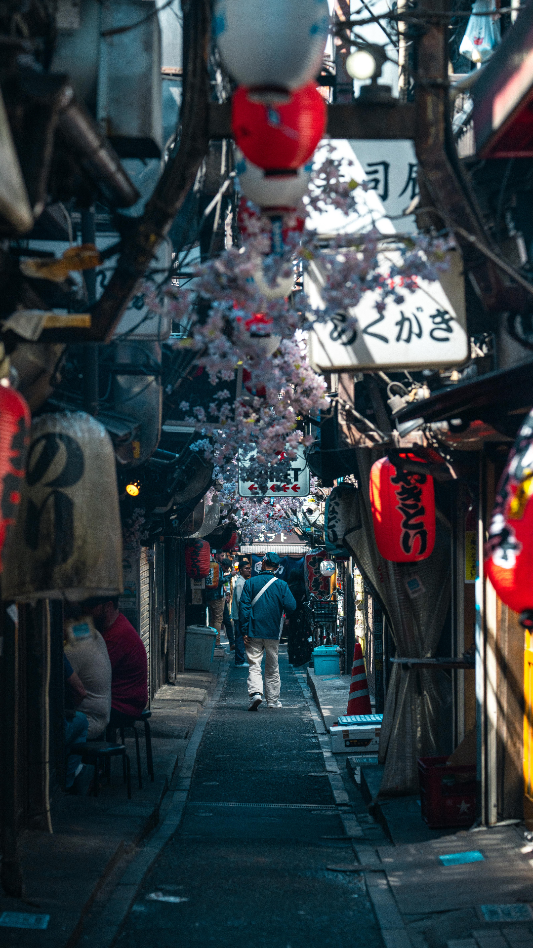 Tokyo alleyway with cherry blossoms and lanterns